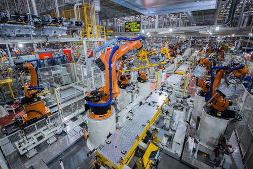 市政府常務(wù)會議 全力配合中央生態(tài)環(huán)保督察 加速數(shù)字貸工程風(fēng)險補償資金發(fā)放